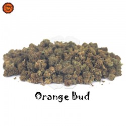 Flor CBD Small Buds Orange Bud