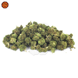 Flor CBD Small Buds