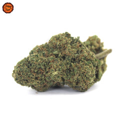 Flor CBD Greenhouse White...