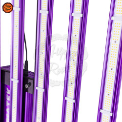 LED Lumatek ZEUS 1000W XTREME 3.1