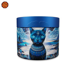 Caixa Metal V-Syndicate Syndicase 360 Feline Pharaoh
