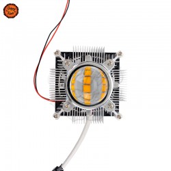 Iluminação LED Phytoled Naked COB 60/120W